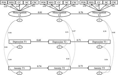 What Comes First Metacognition or Negative Emotion? A Test of Temporal Precedence